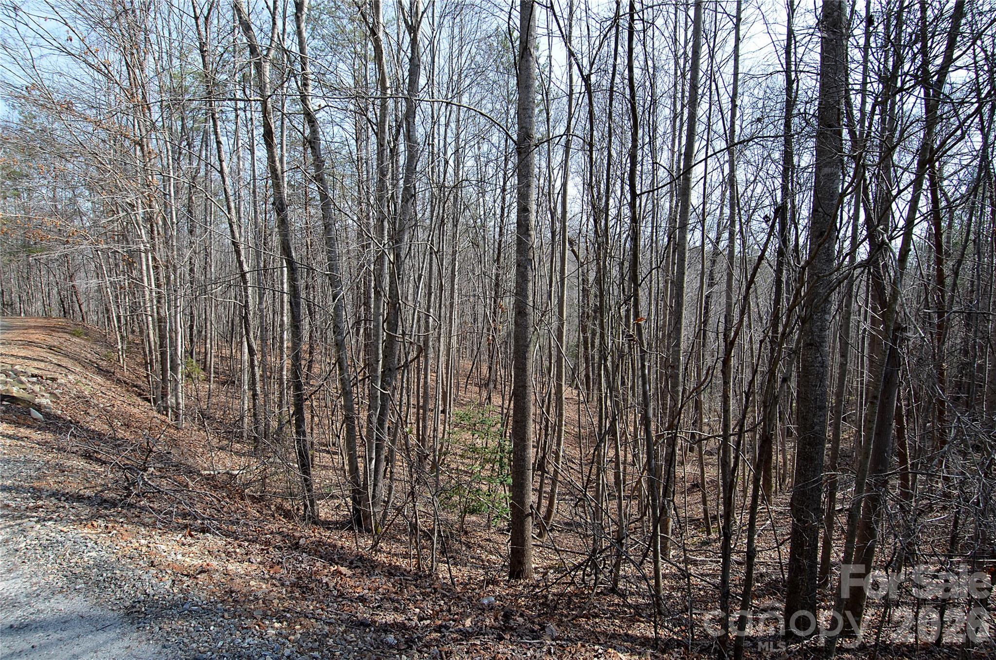00 Sundance Drive Nebo NC 28761