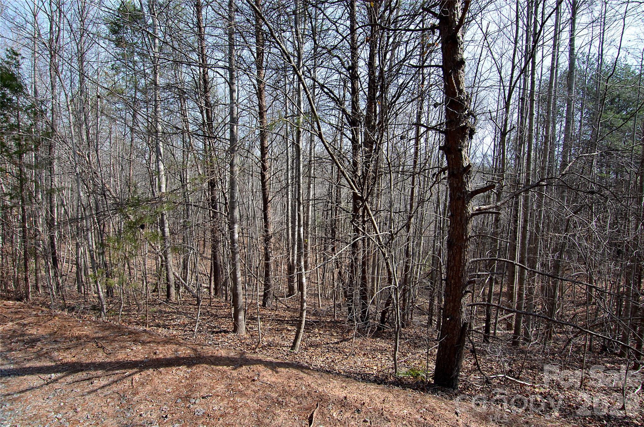 00 Sundance Drive Nebo NC 28761