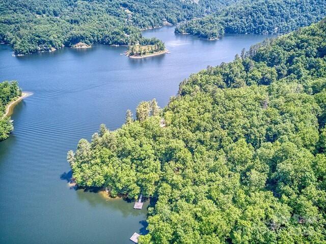 152 Mandolin Court Tuckasegee NC 28783