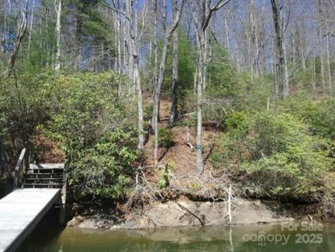 152 Mandolin Court Tuckasegee NC 28783