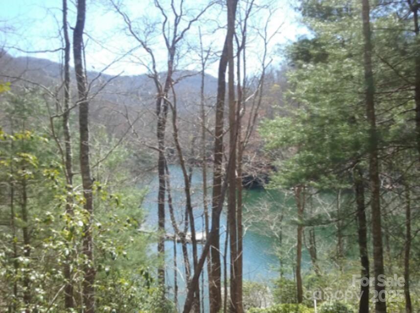 152 Mandolin Court Tuckasegee NC 28783