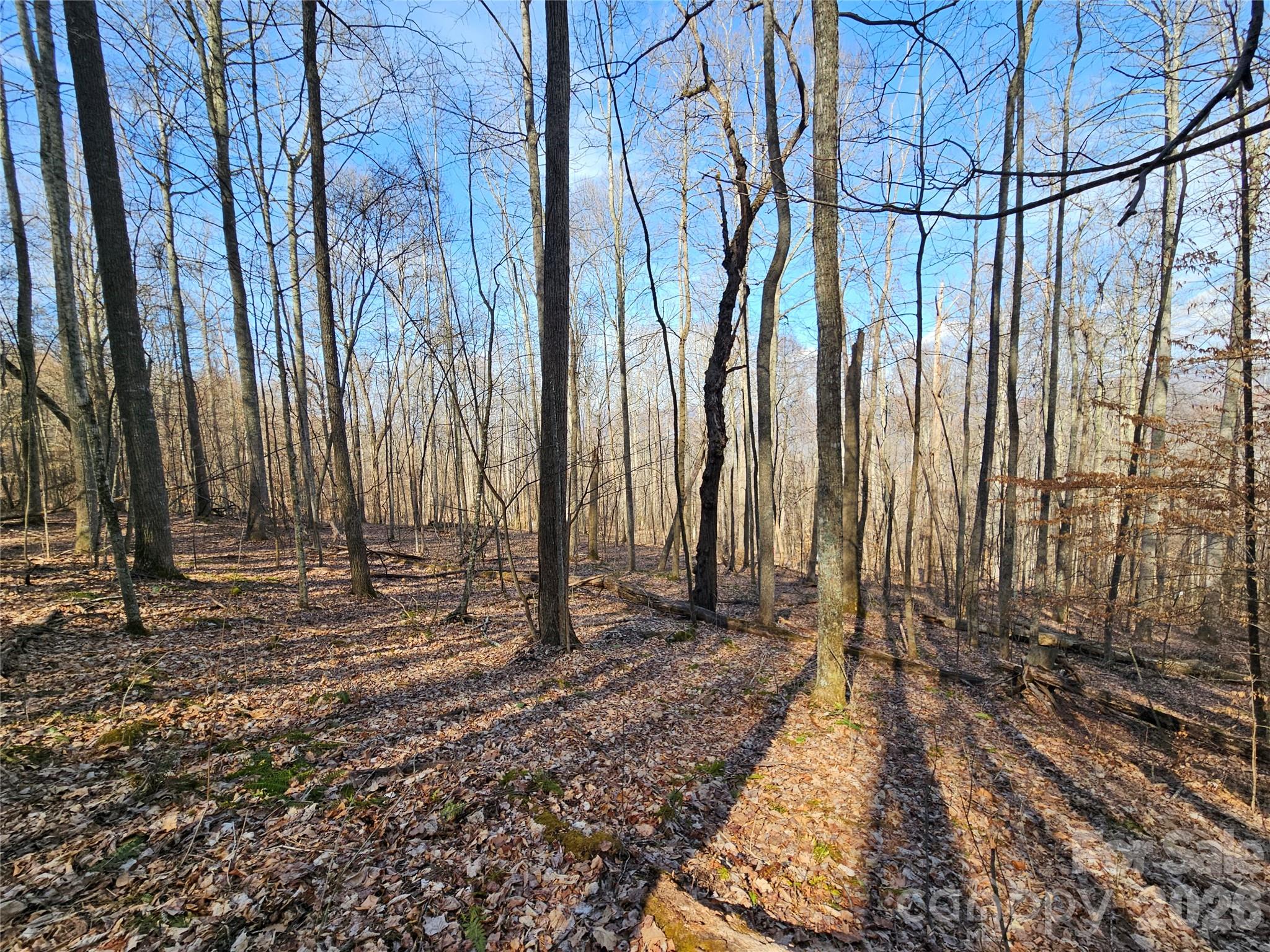 00 Red Wolf Run Road Mars Hill NC 28754