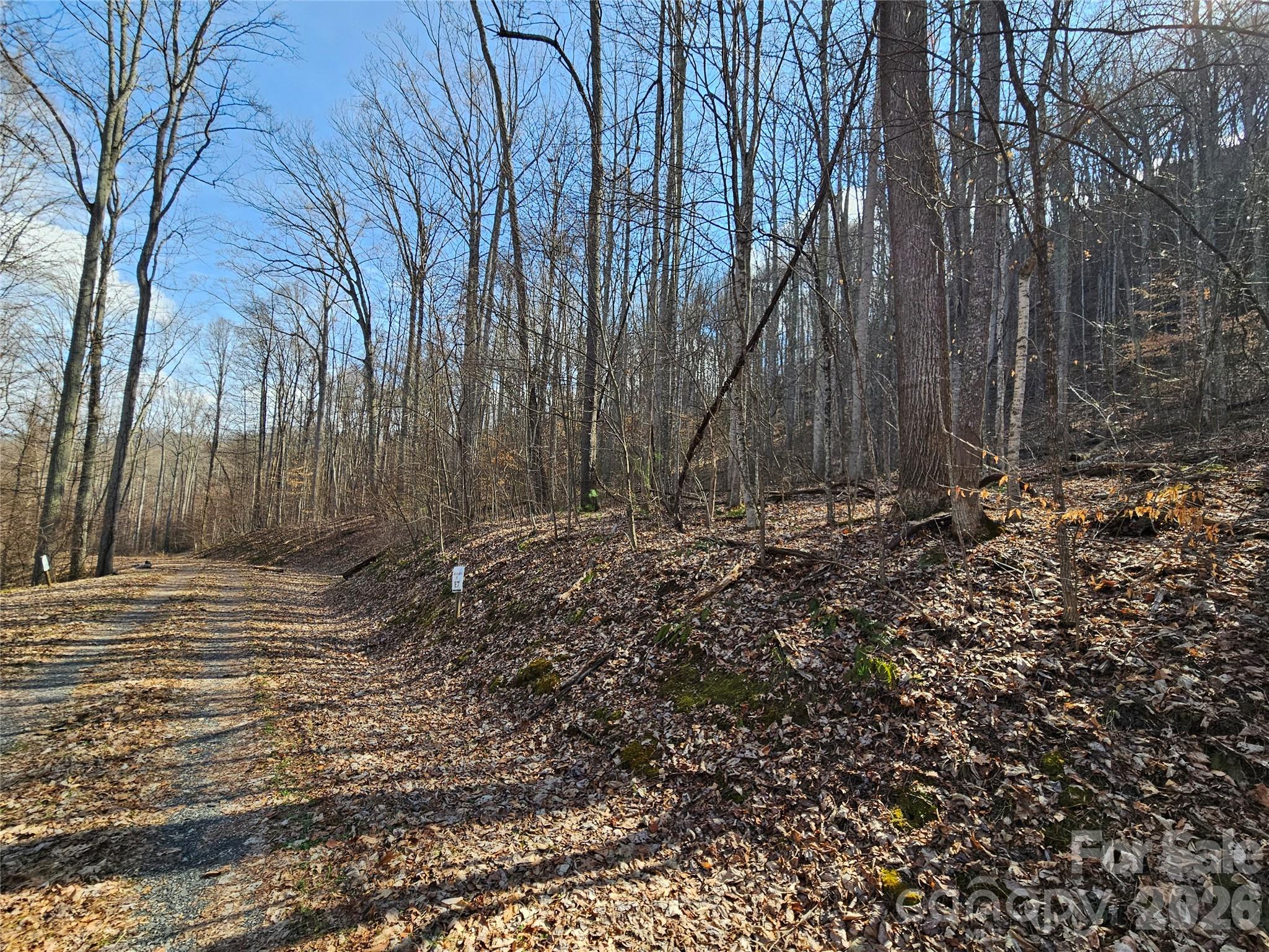 00 Red Wolf Run Road Mars Hill NC 28754