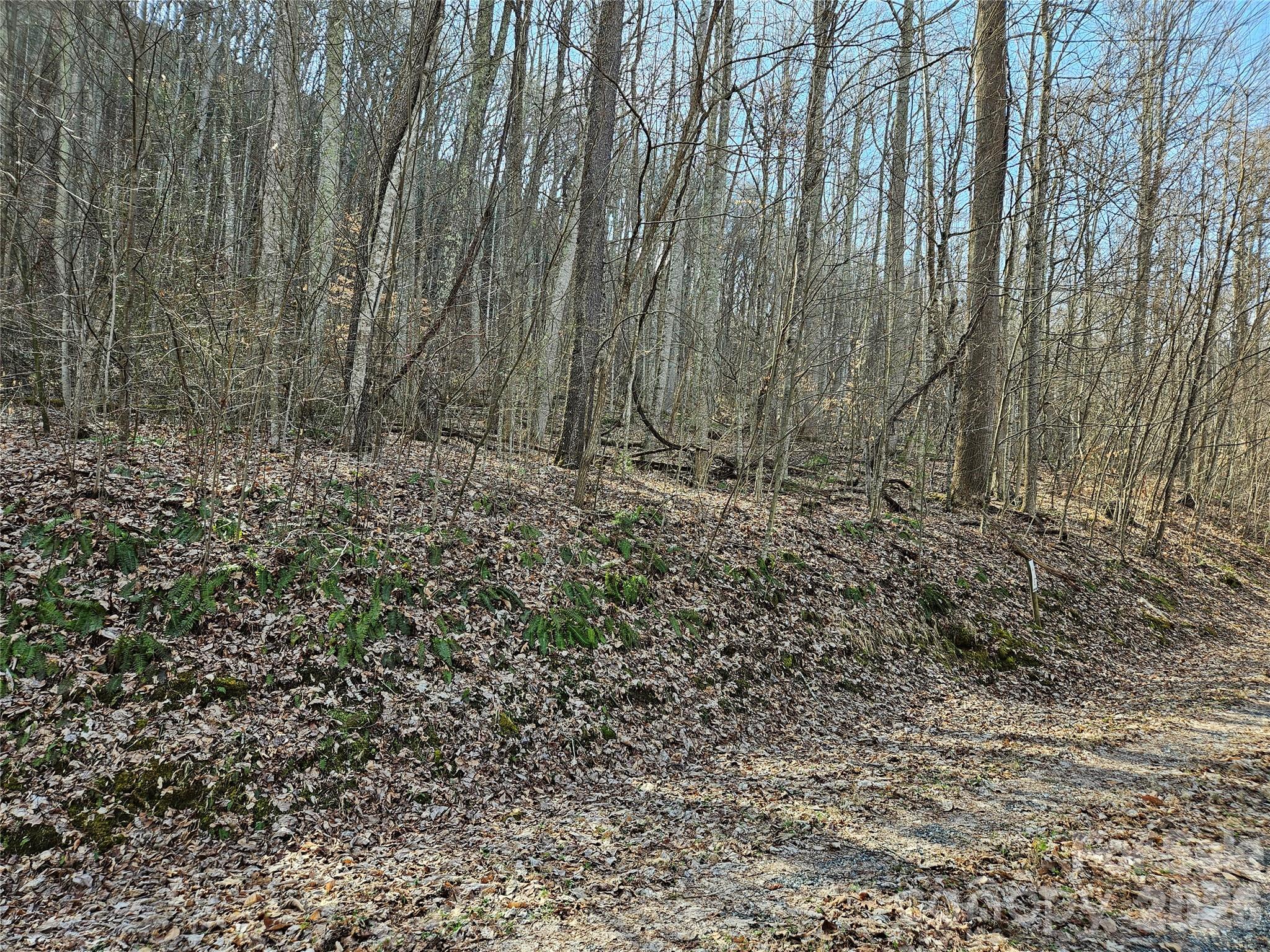 00 Red Wolf Run Road Mars Hill NC 28754