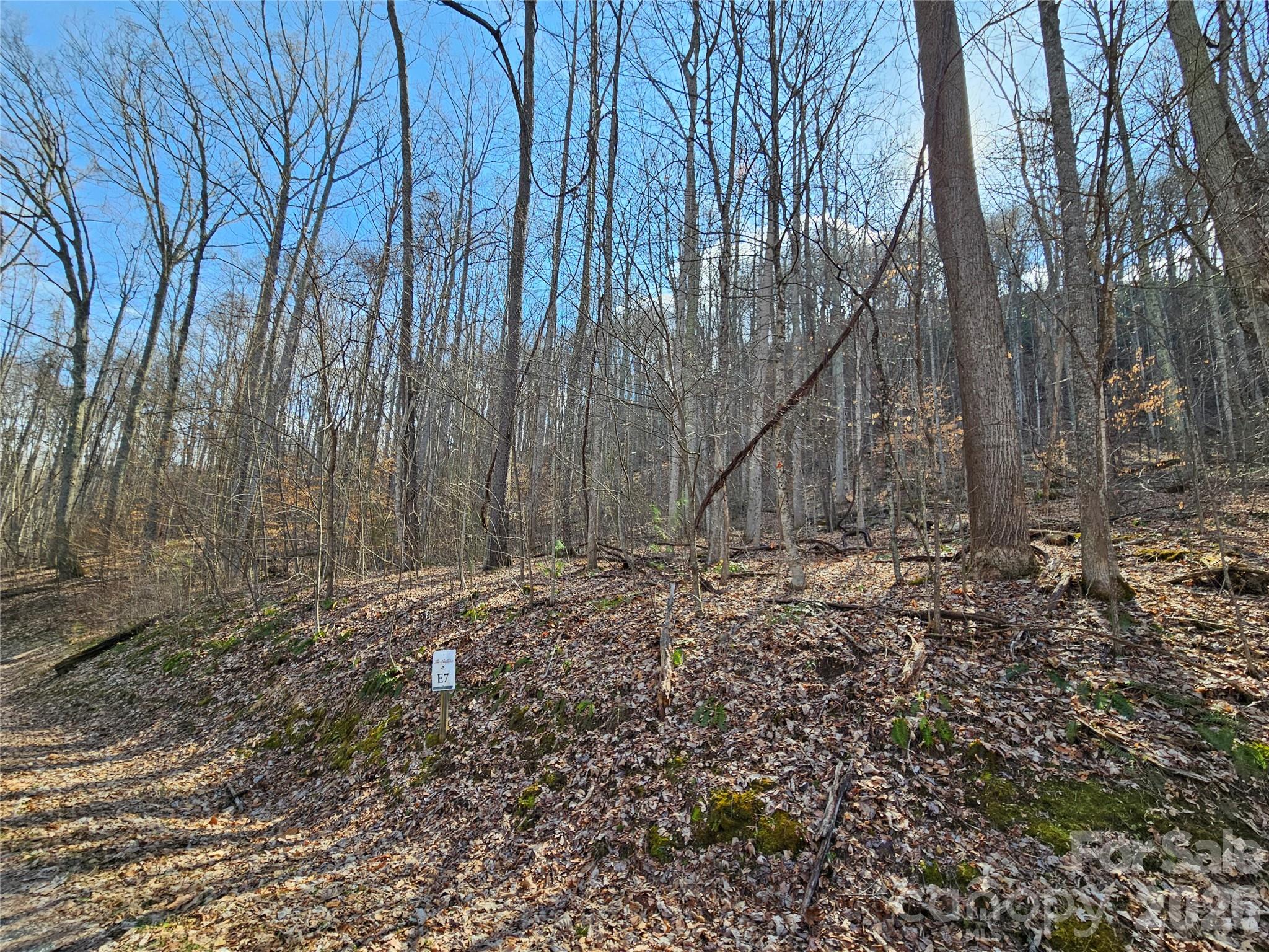 00 Red Wolf Run Road Mars Hill NC 28754