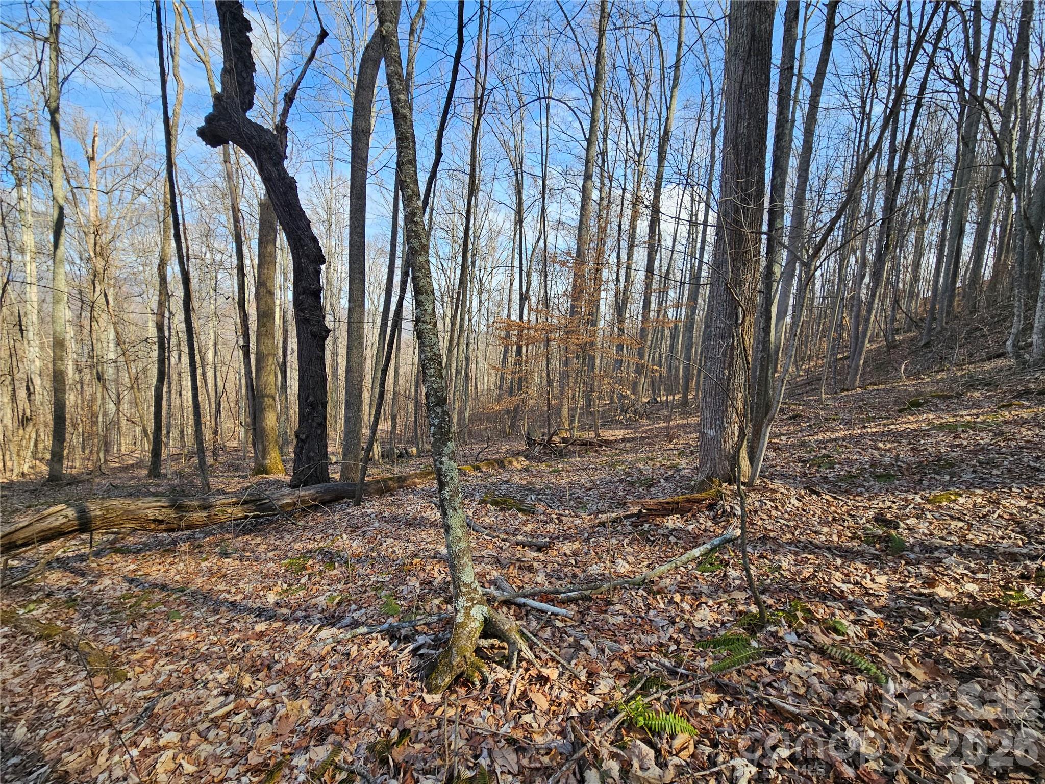 00 Red Wolf Run Road Mars Hill NC 28754