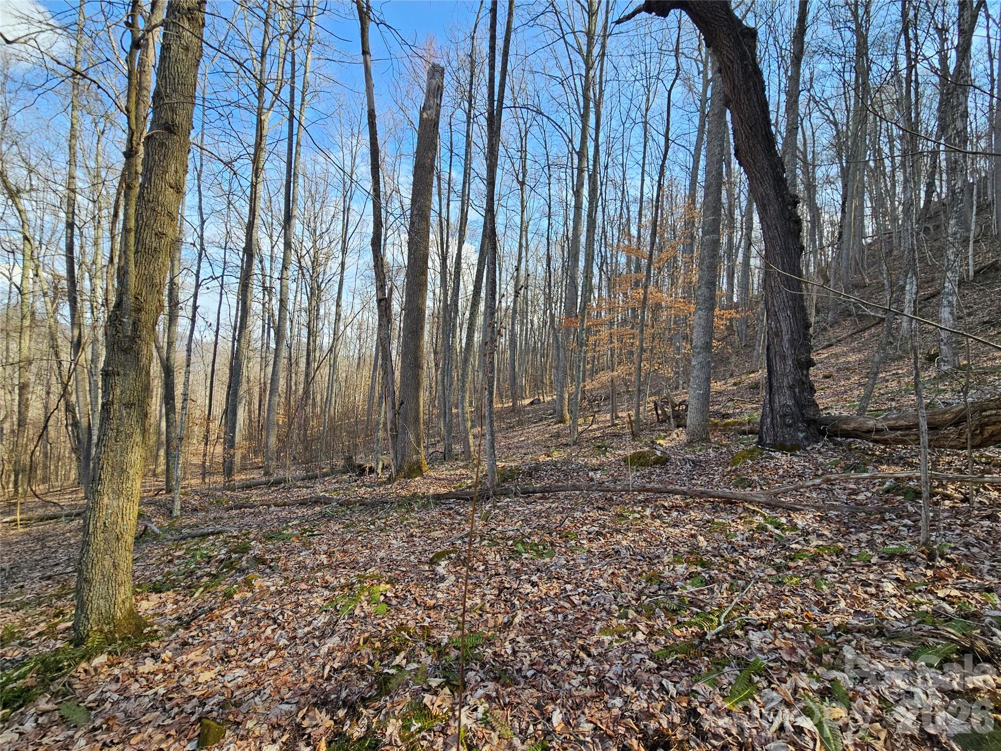 00 Red Wolf Run Road Mars Hill NC 28754