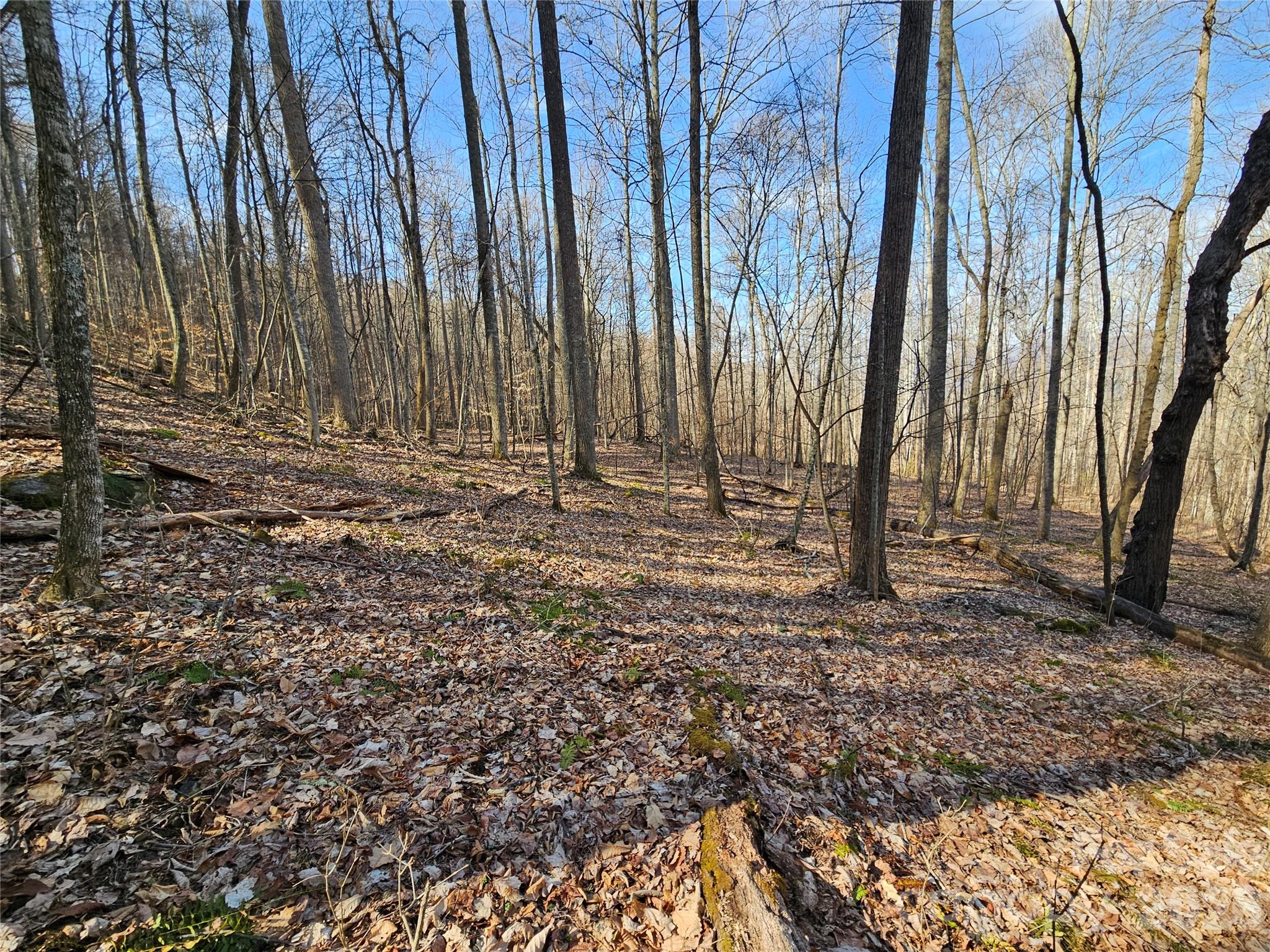 00 Red Wolf Run Road Mars Hill NC 28754