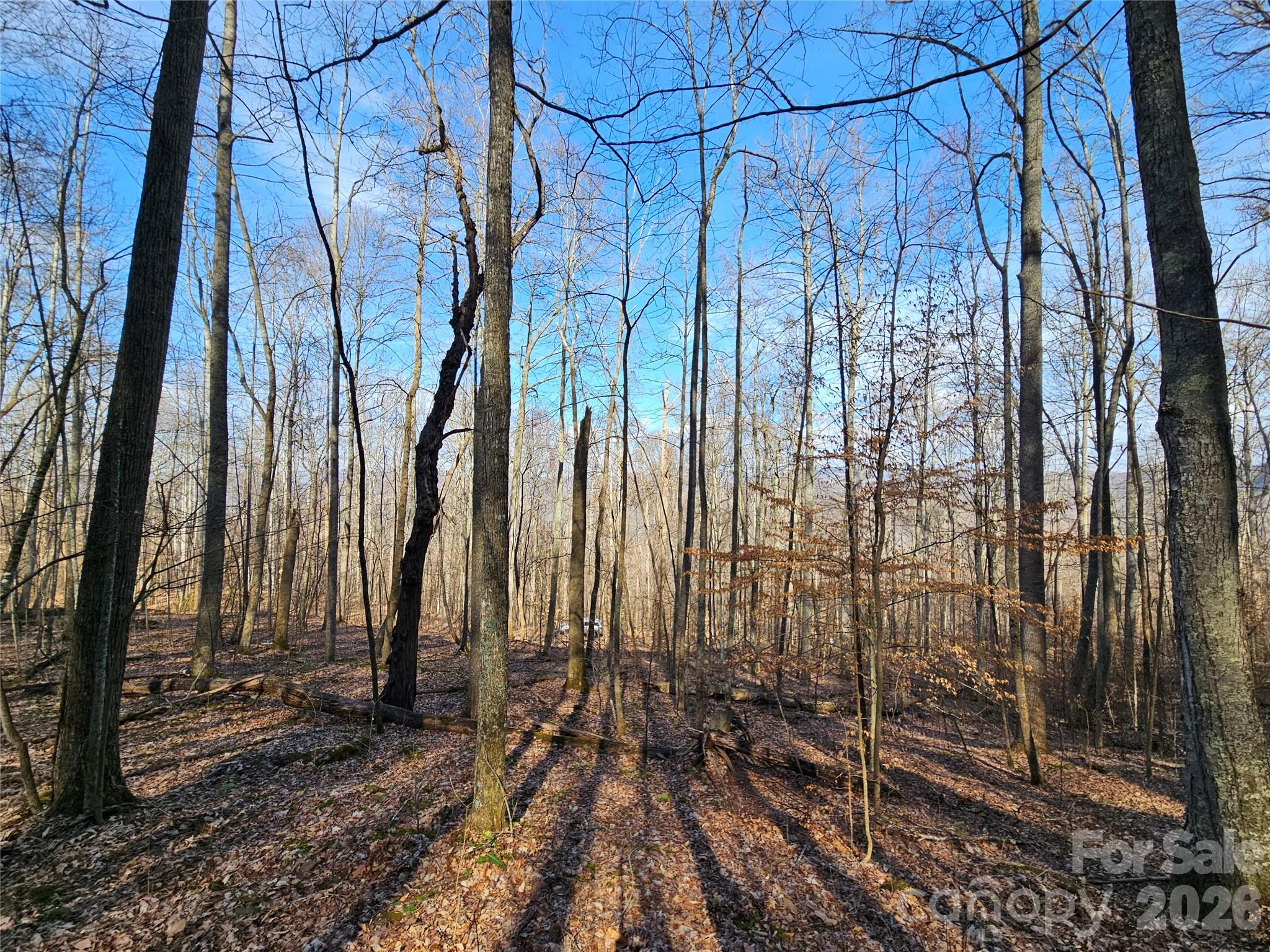 00 Red Wolf Run Road Mars Hill NC 28754