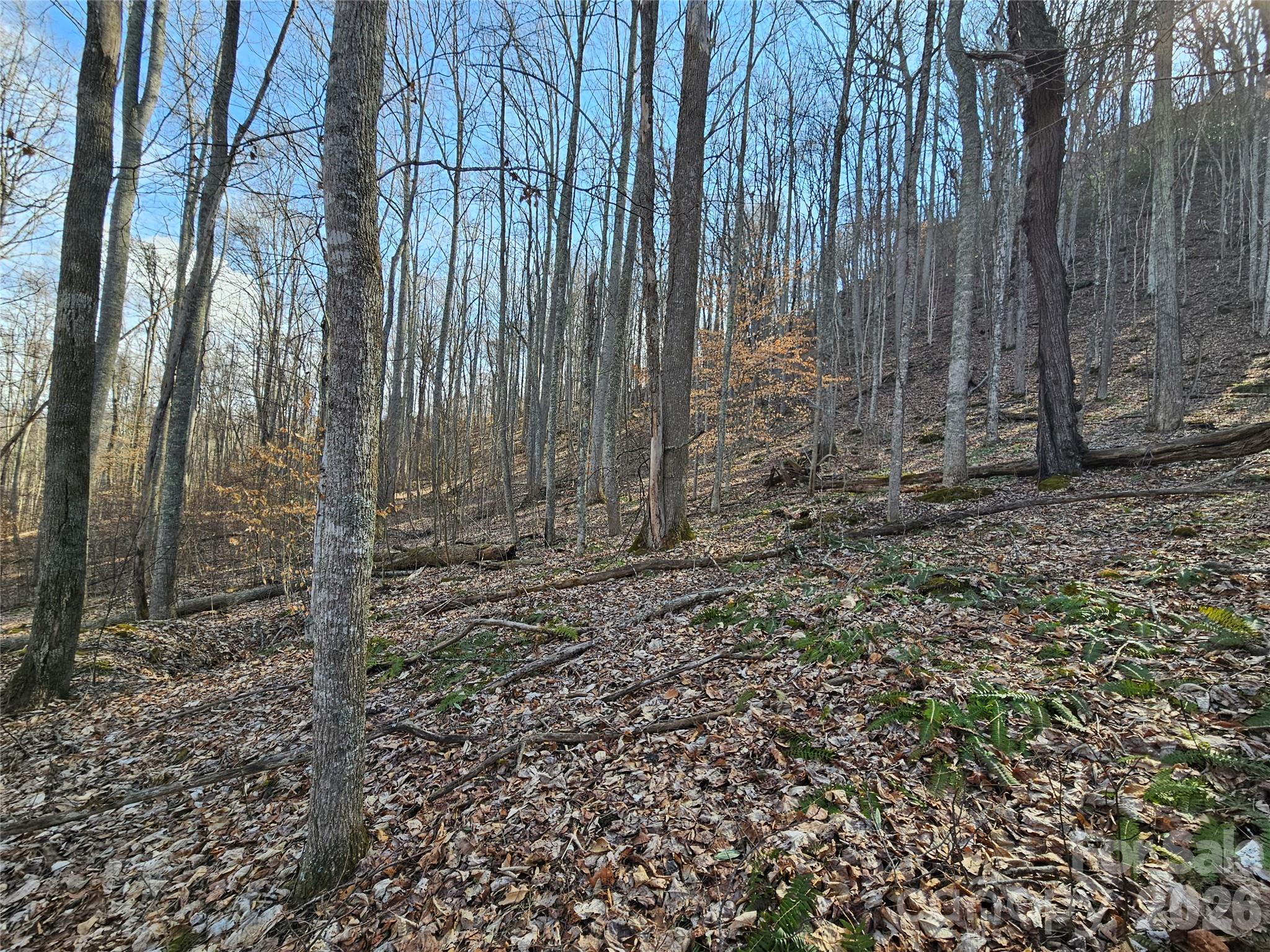 00 Red Wolf Run Road Mars Hill NC 28754