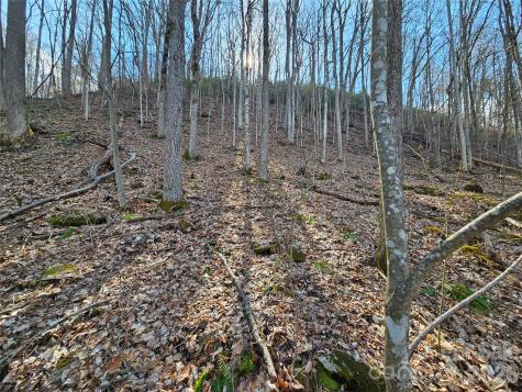 00 Red Wolf Run Road Mars Hill NC 28754