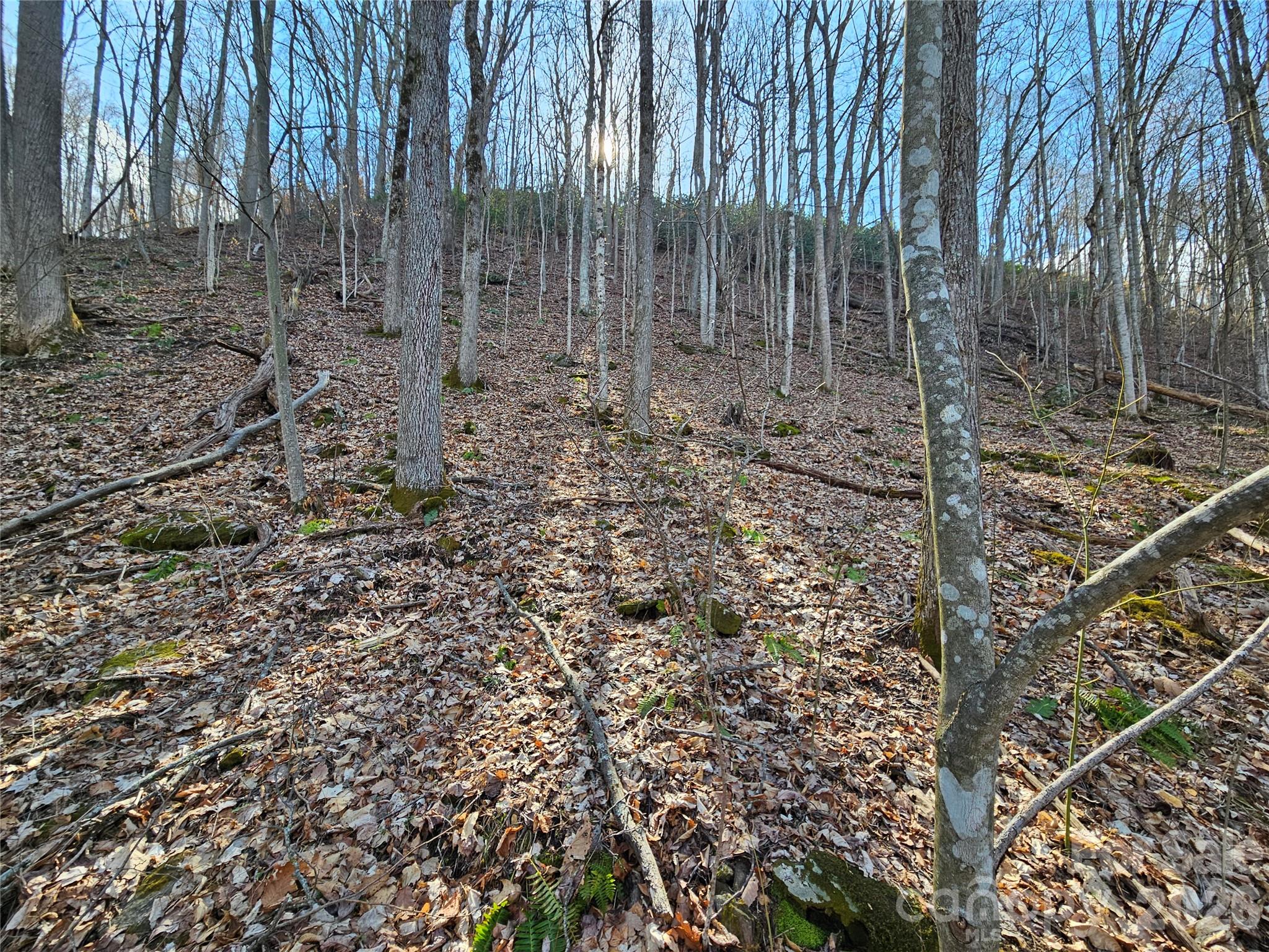 00 Red Wolf Run Road Mars Hill NC 28754