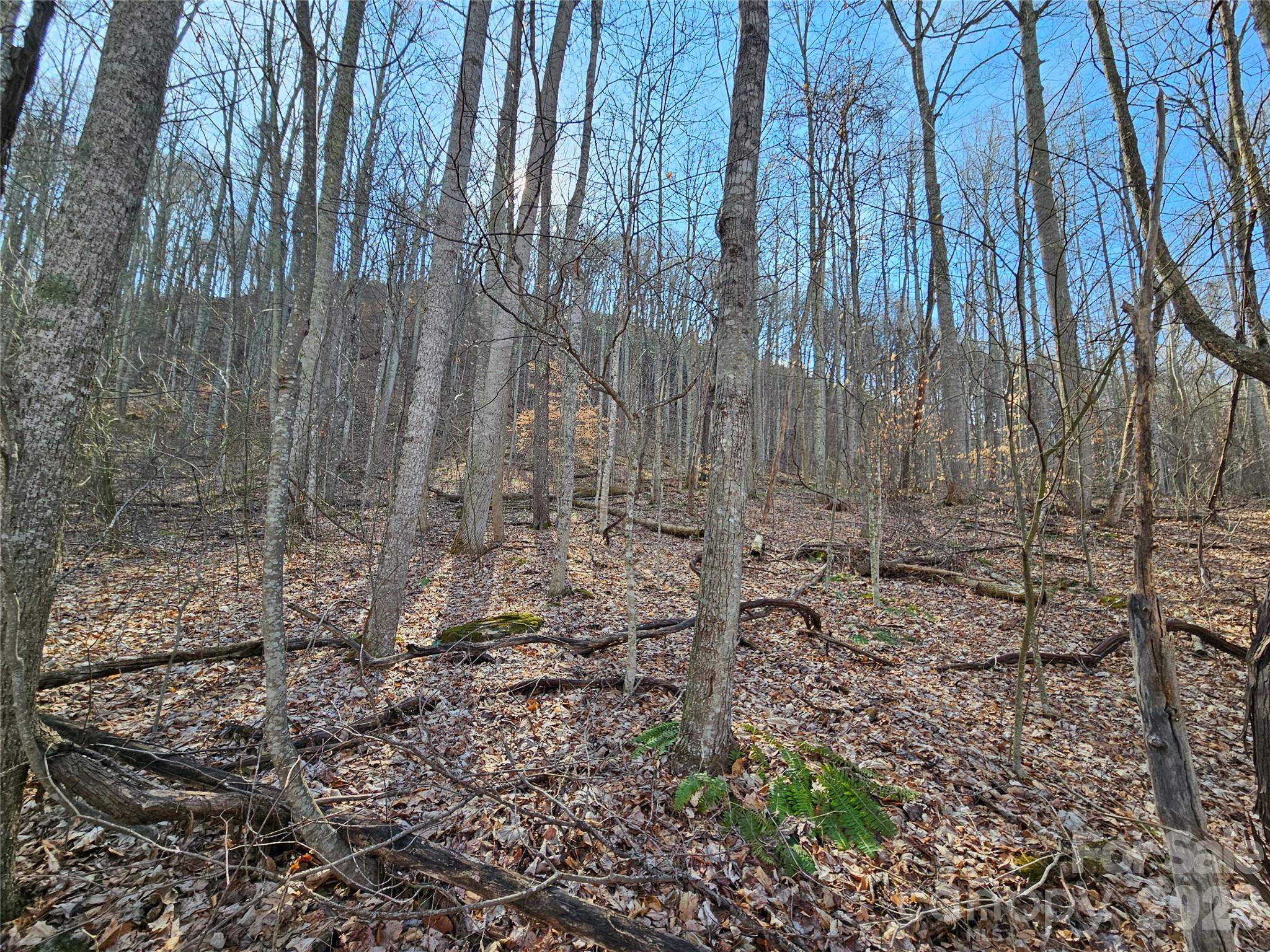 00 Red Wolf Run Road Mars Hill NC 28754