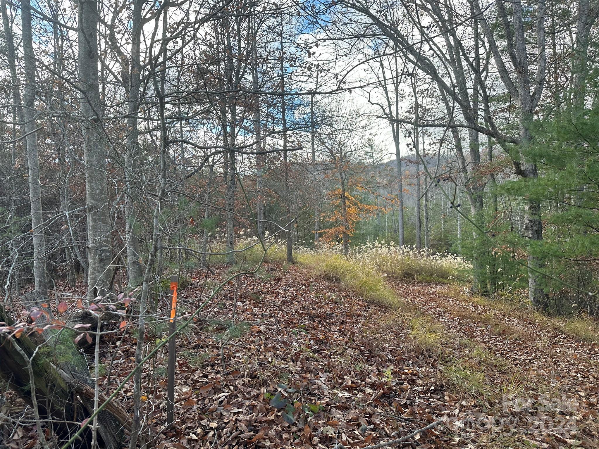 000 The Vines Boulevard Marshall NC 28753