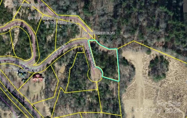 000 The Vines Boulevard Marshall NC 28753