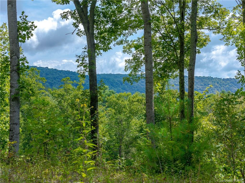 478 Barrington Drive Asheville NC 28803