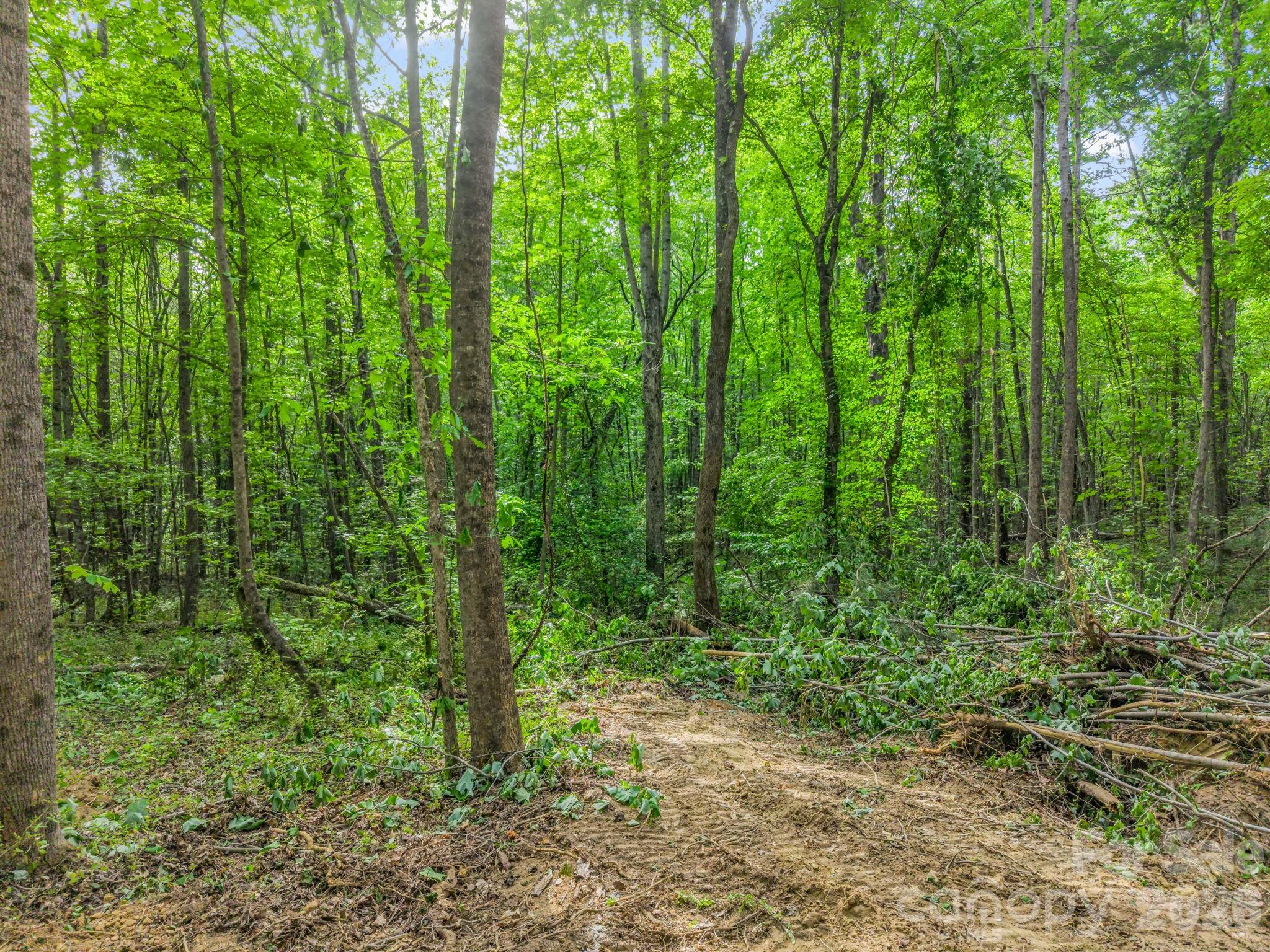 0 Hearthside Drive Shelby NC 28150