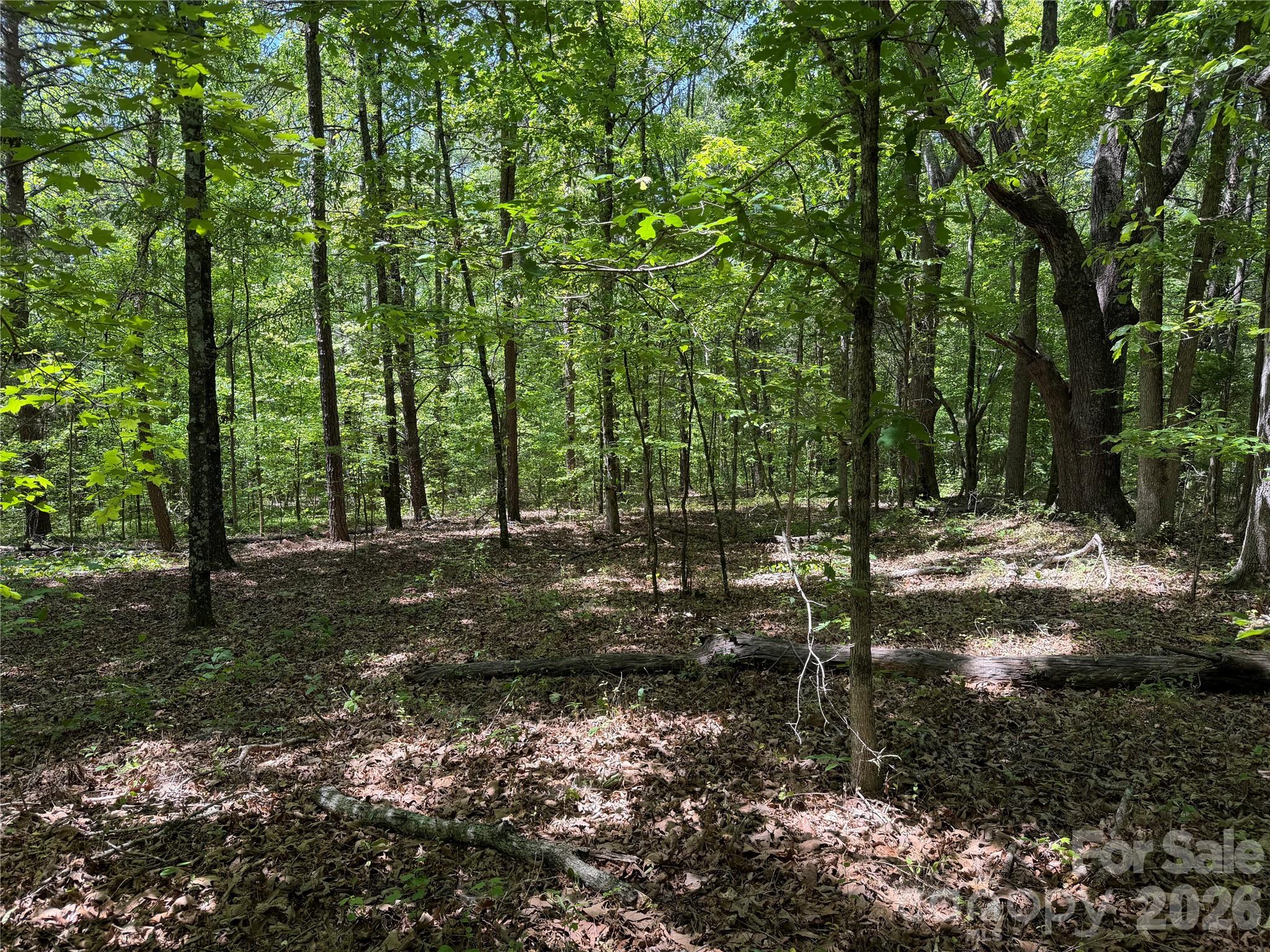 0 Hearthside Drive Shelby NC 28150