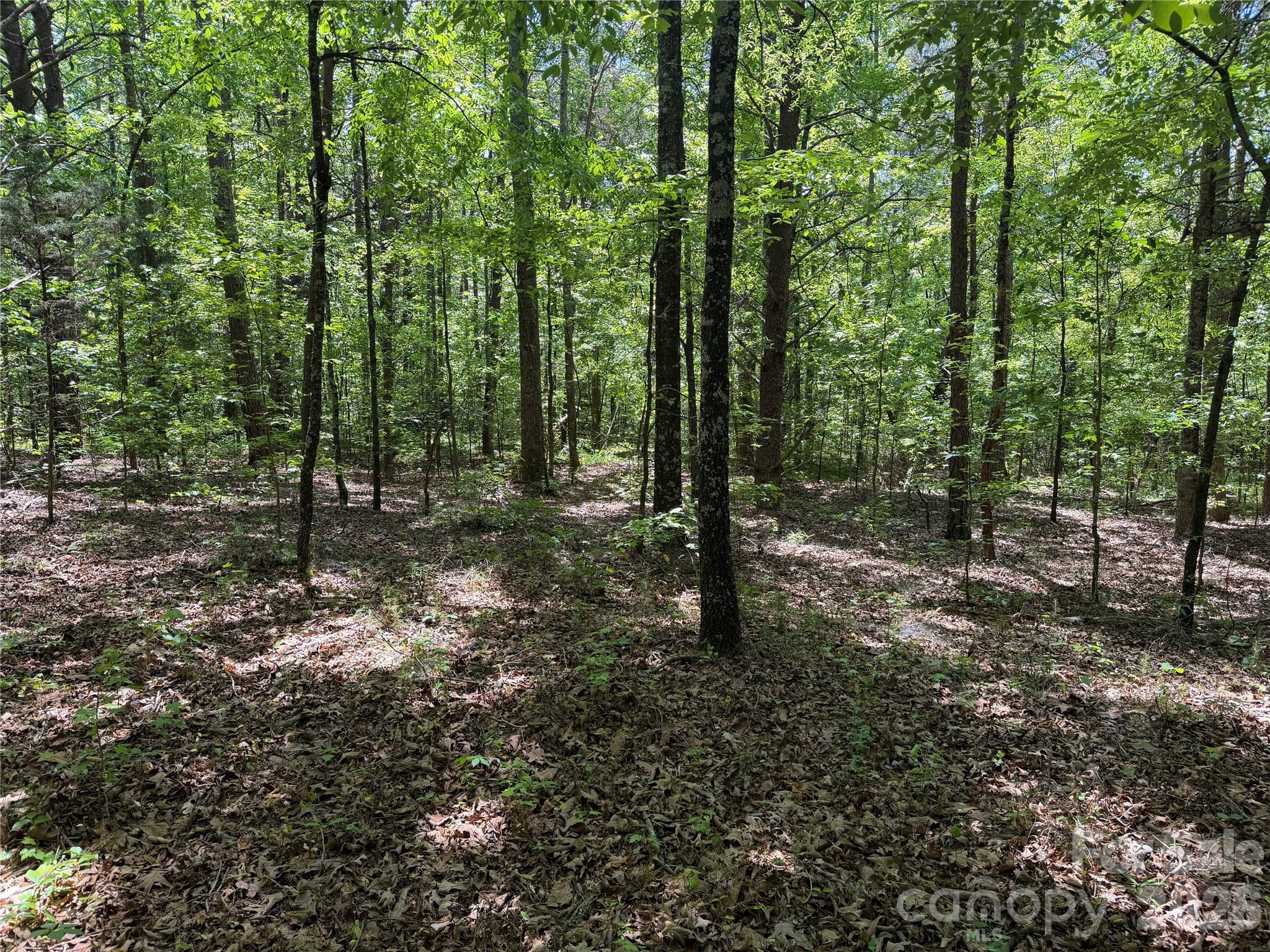 0 Hearthside Drive Shelby NC 28150