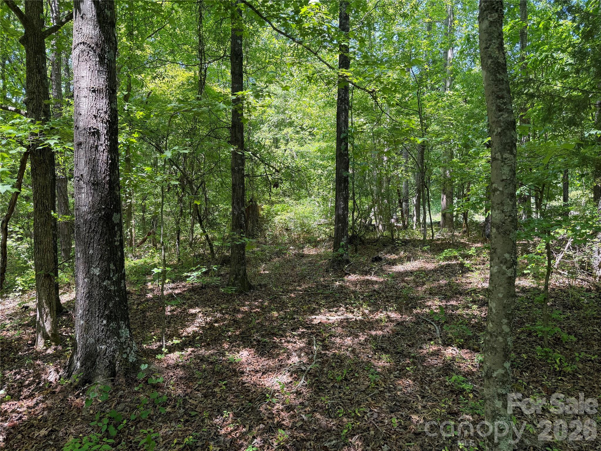 0 Hearthside Drive Shelby NC 28150