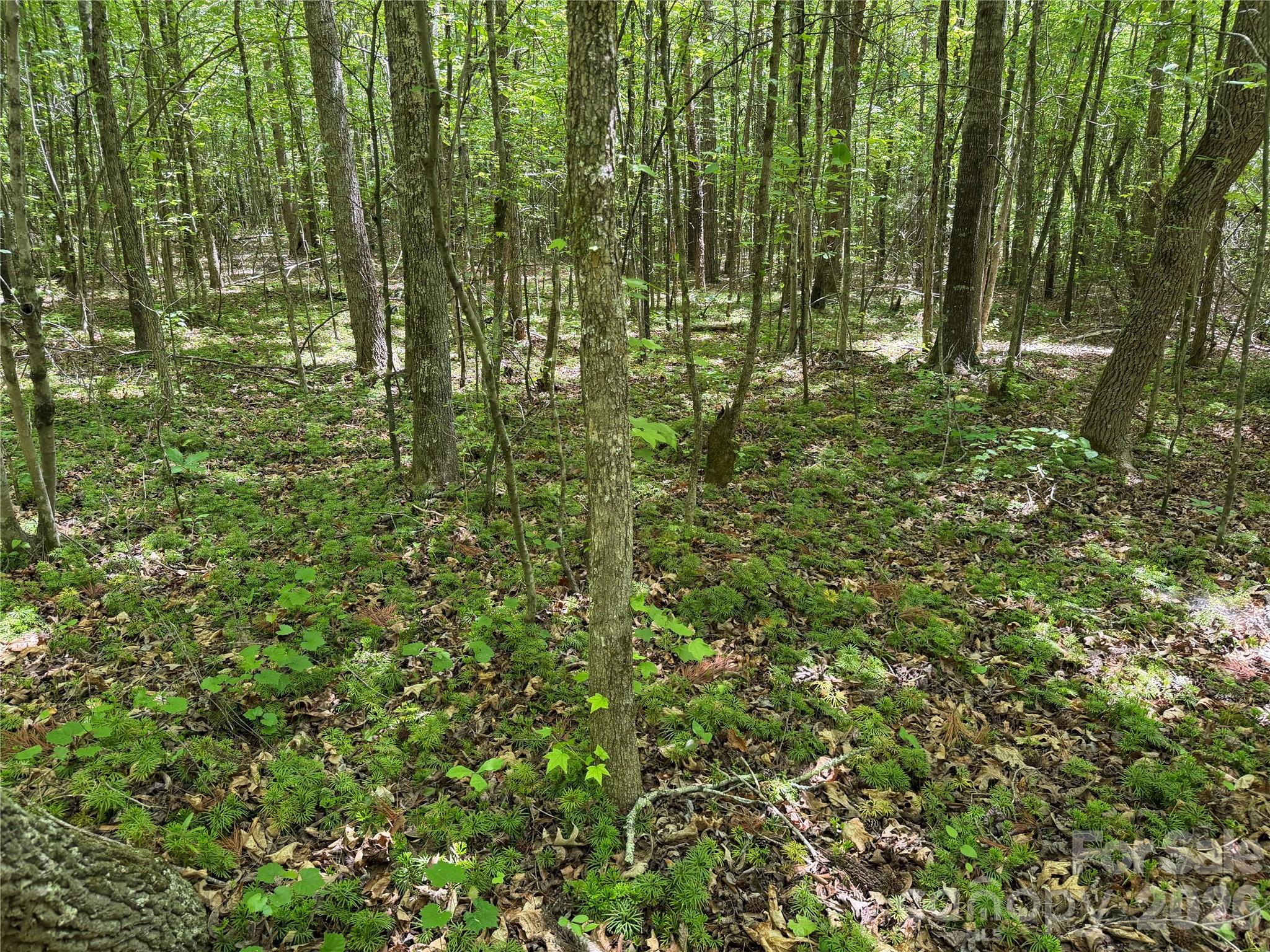 0 Hearthside Drive Shelby NC 28150