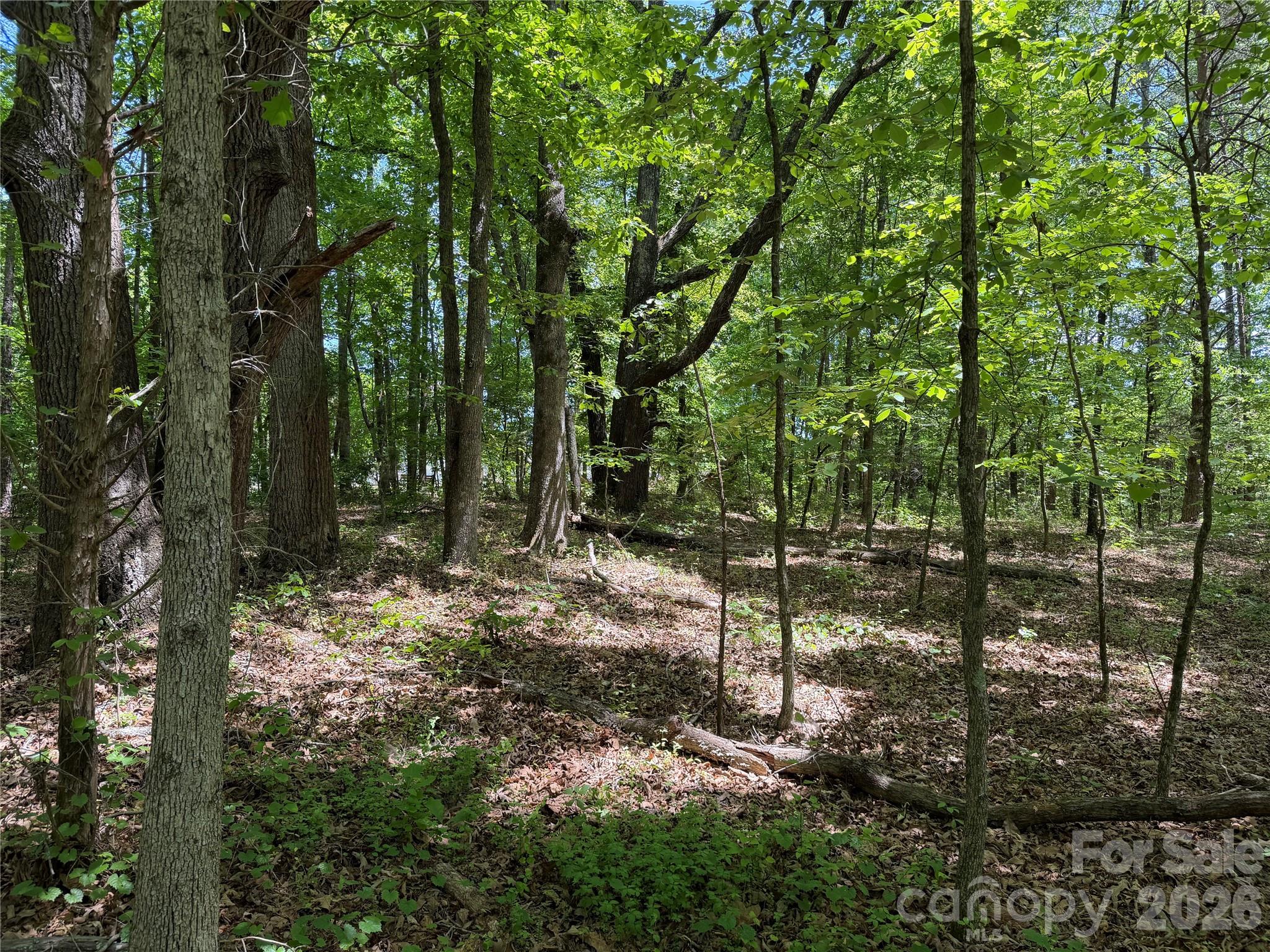 0 Hearthside Drive Shelby NC 28150
