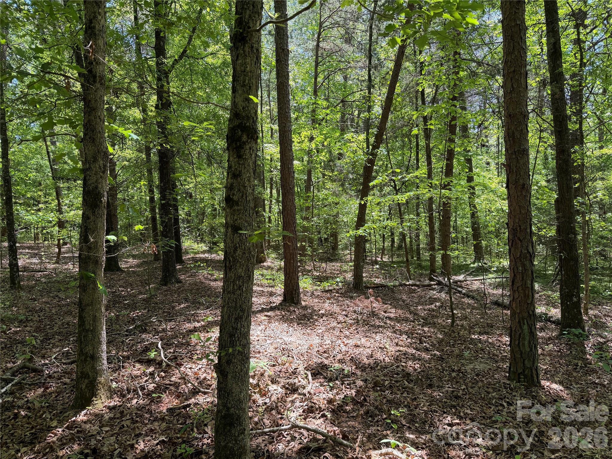 0 Hearthside Drive Shelby NC 28150