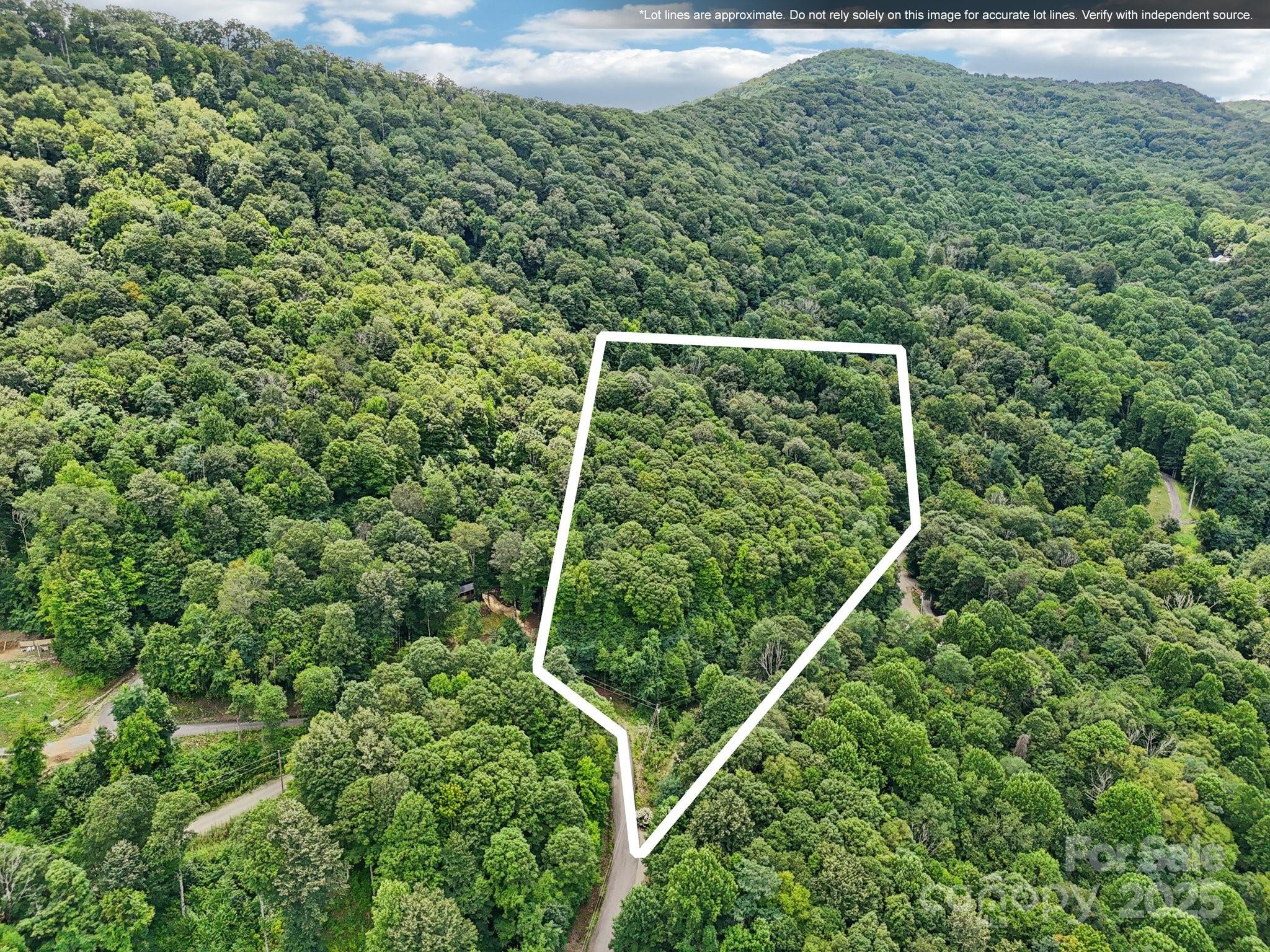 Lot 501 Spellbound Road Waynesville NC 28785