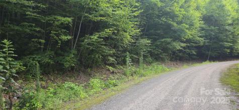 Lot 501 Spellbound Road Waynesville NC 28785