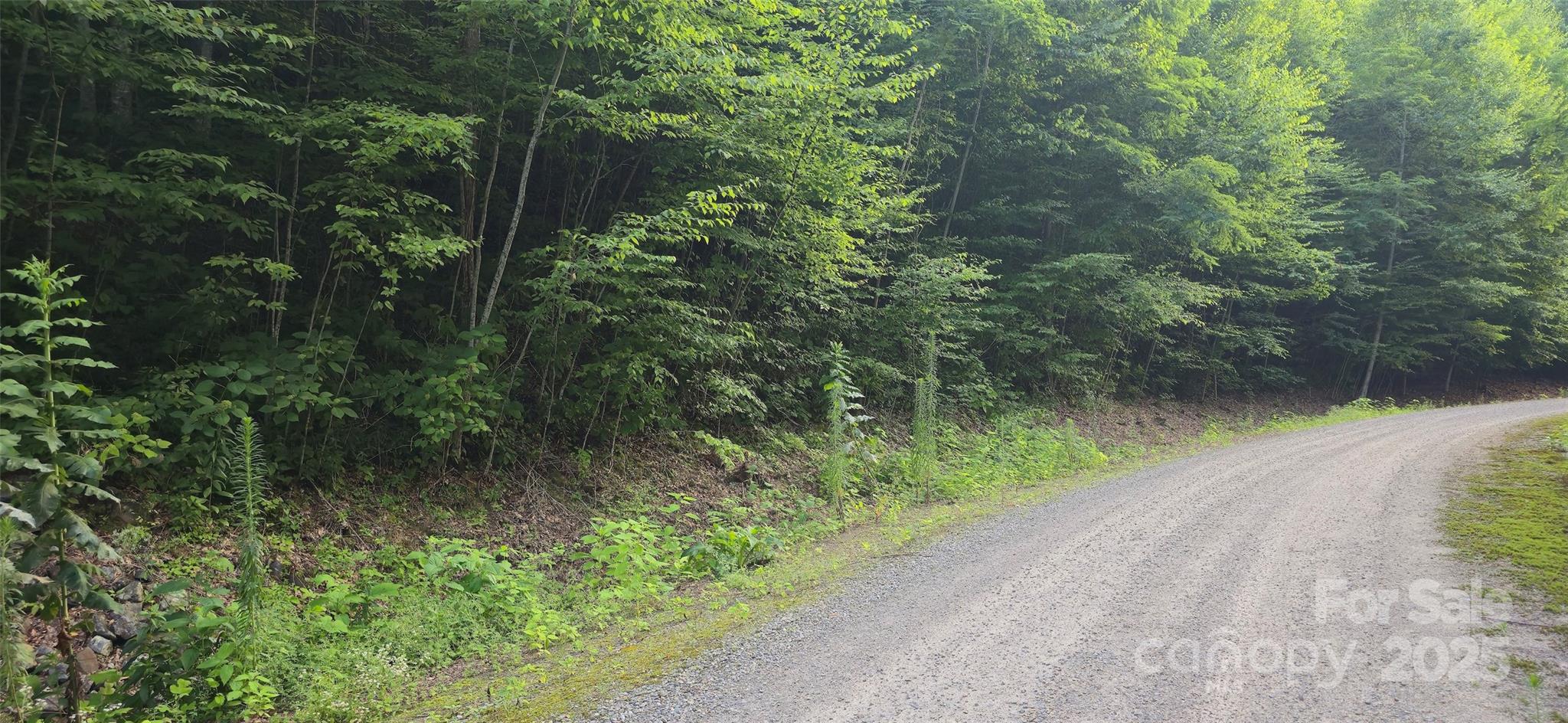 Lot 501 Spellbound Road Waynesville NC 28785