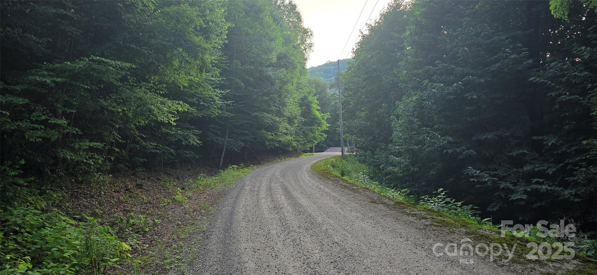 Lot 501 Spellbound Road Waynesville NC 28785