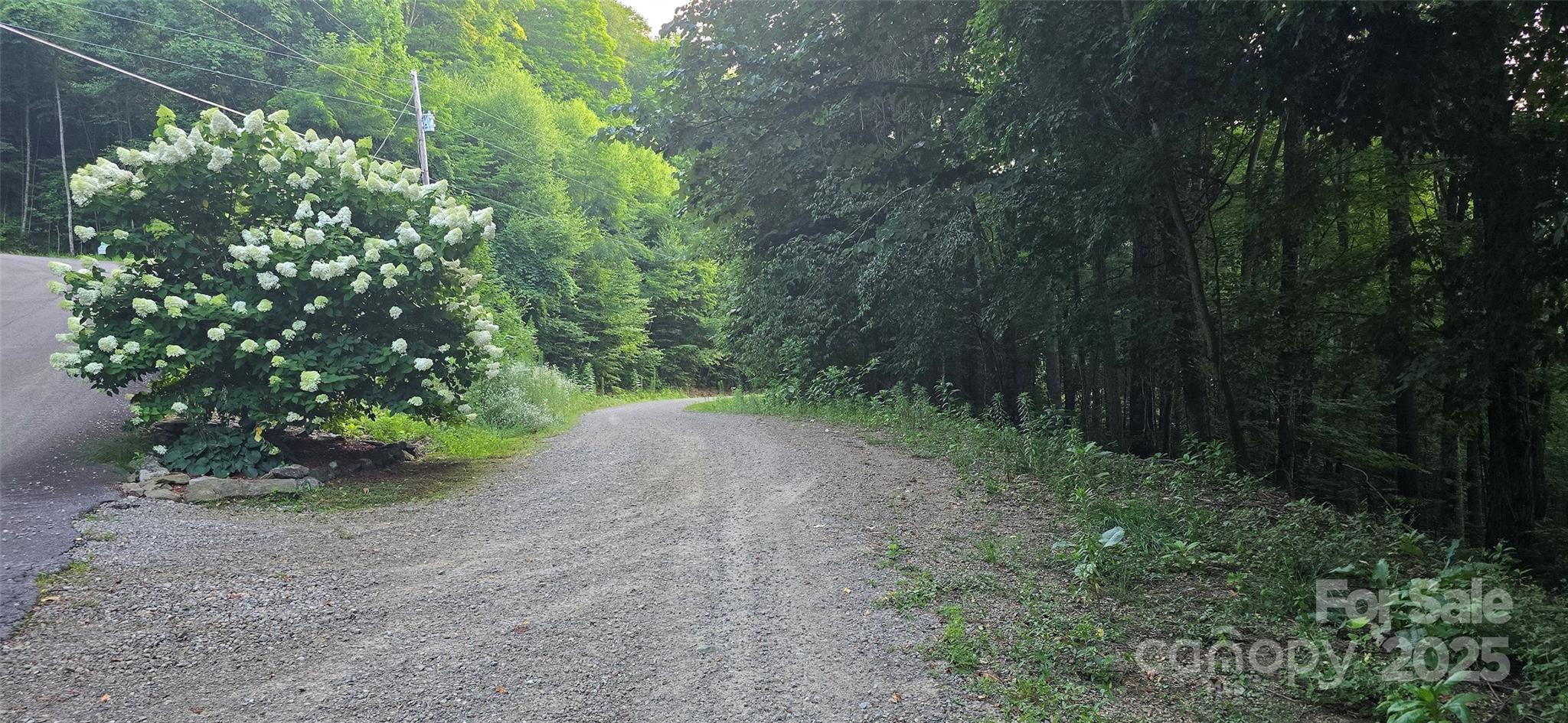 Lot 501 Spellbound Road Waynesville NC 28785