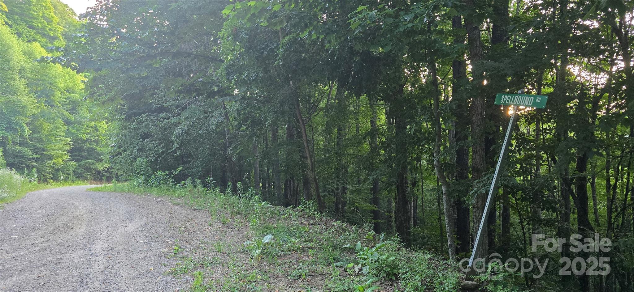 Lot 501 Spellbound Road Waynesville NC 28785
