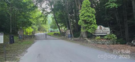 Lot 501 Spellbound Road Waynesville NC 28785