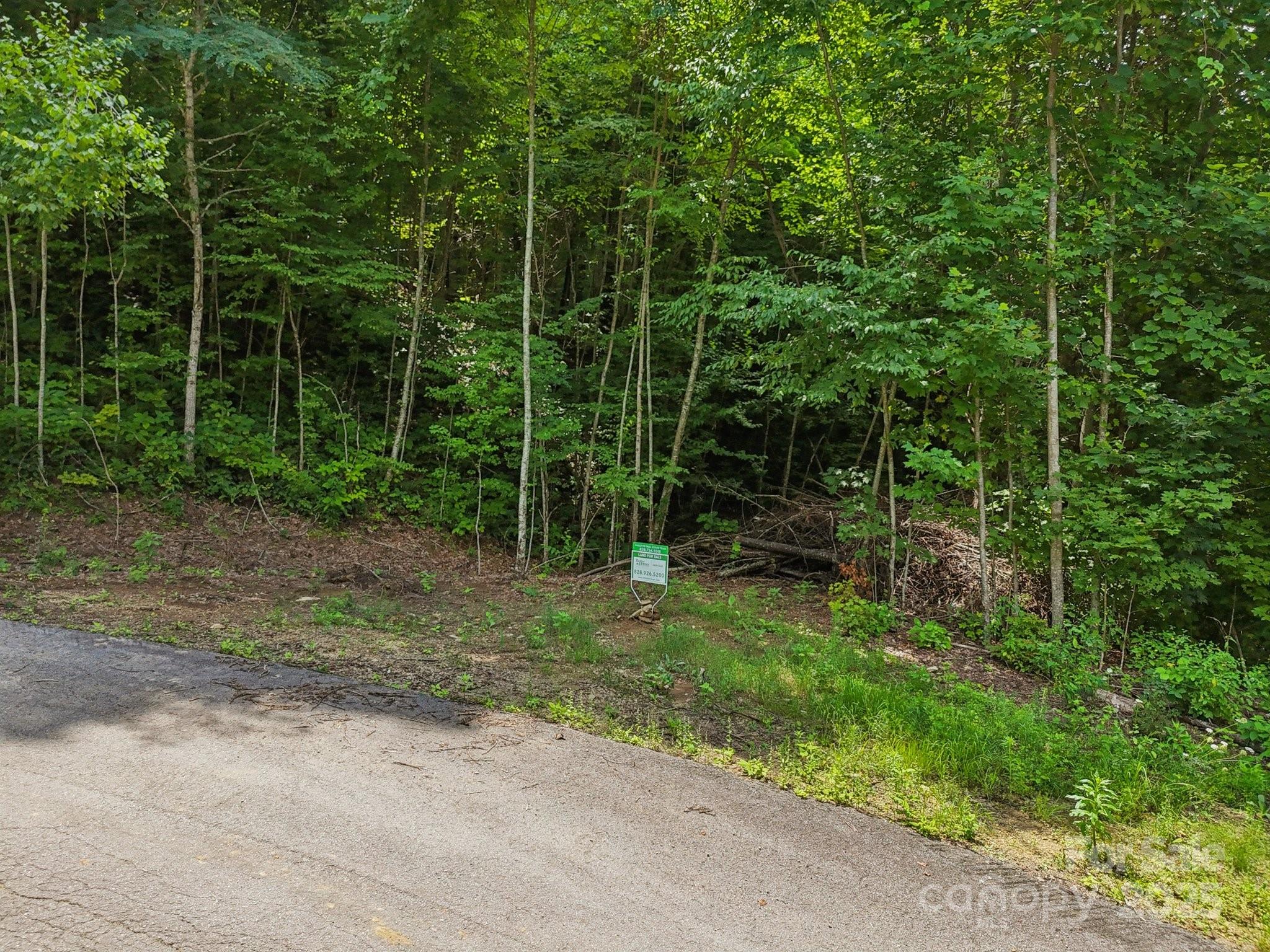 Lot 501 Spellbound Road Waynesville NC 28785