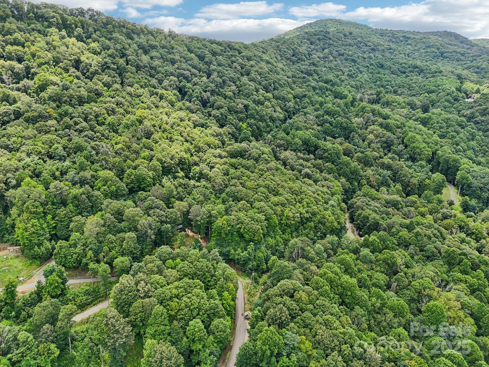 Lot 501 Spellbound Road Waynesville NC 28785
