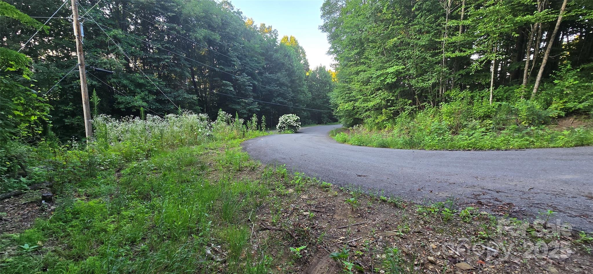 Lot 501 Spellbound Road Waynesville NC 28785