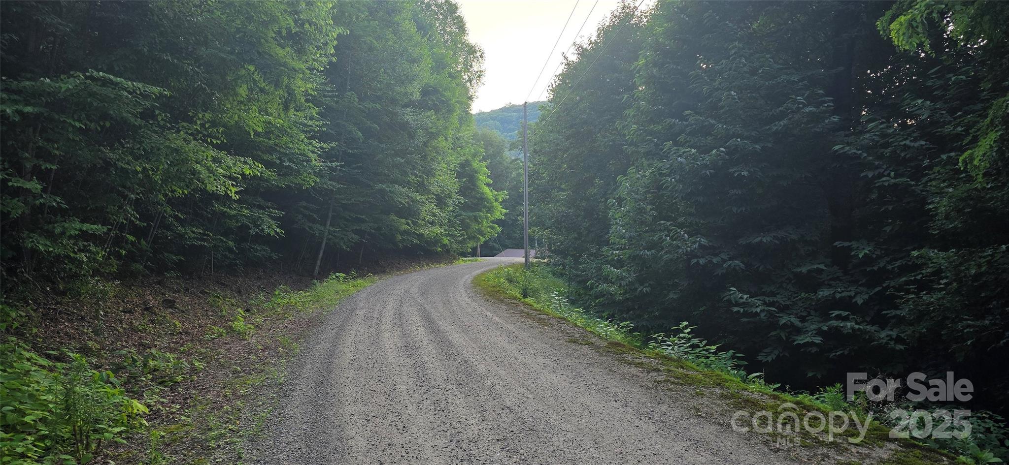 Lot 501 Spellbound Road Waynesville NC 28785