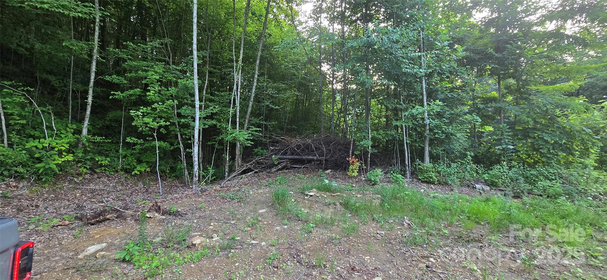 Lot 501 Spellbound Road Waynesville NC 28785