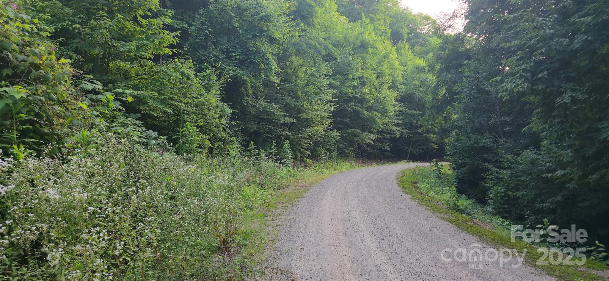 Lot 501 Spellbound Road Waynesville NC 28785