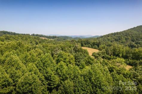 Tbd Flat Springs Road Elk Park NC 28622