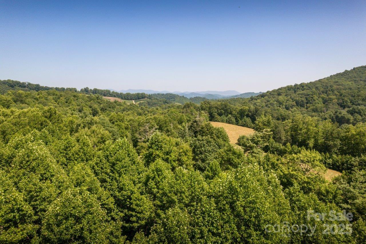 Tbd Flat Springs Road Elk Park NC 28622
