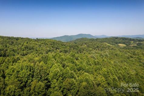 Tbd Flat Springs Road Elk Park NC 28622