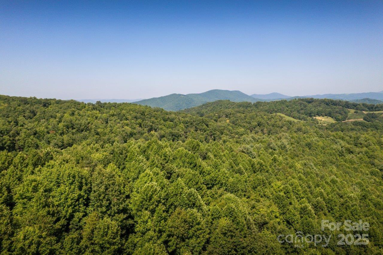 Tbd Flat Springs Road Elk Park NC 28622