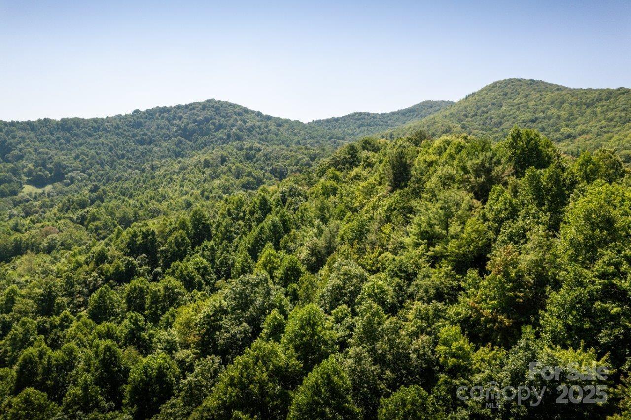 Tbd Flat Springs Road Elk Park NC 28622