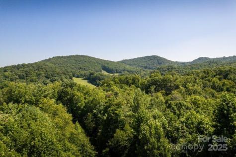 Tbd Flat Springs Road Elk Park NC 28622