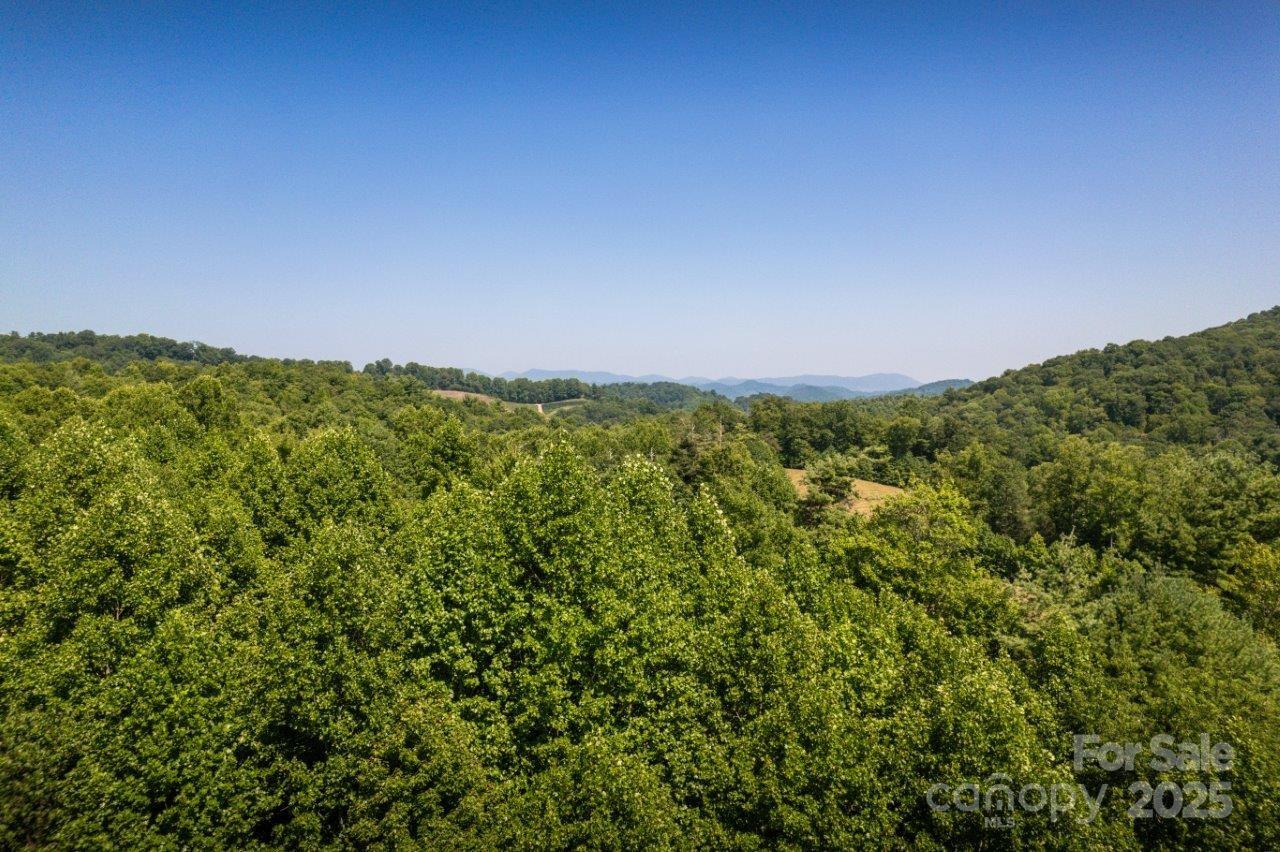 Tbd Flat Springs Road Elk Park NC 28622