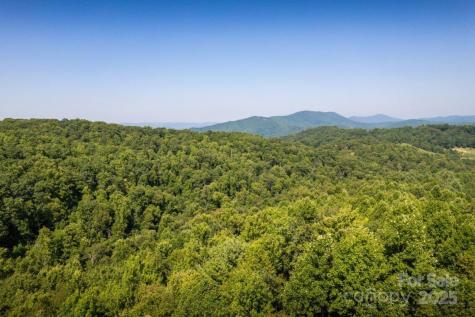 Tbd Flat Springs Road Elk Park NC 28622
