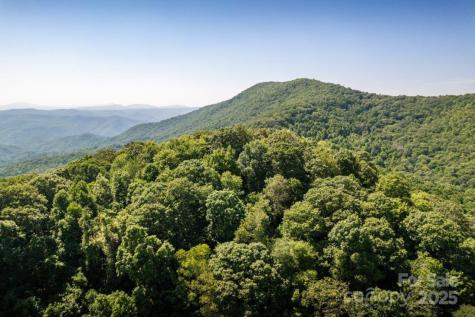 Tbd Flat Springs Road Elk Park NC 28622