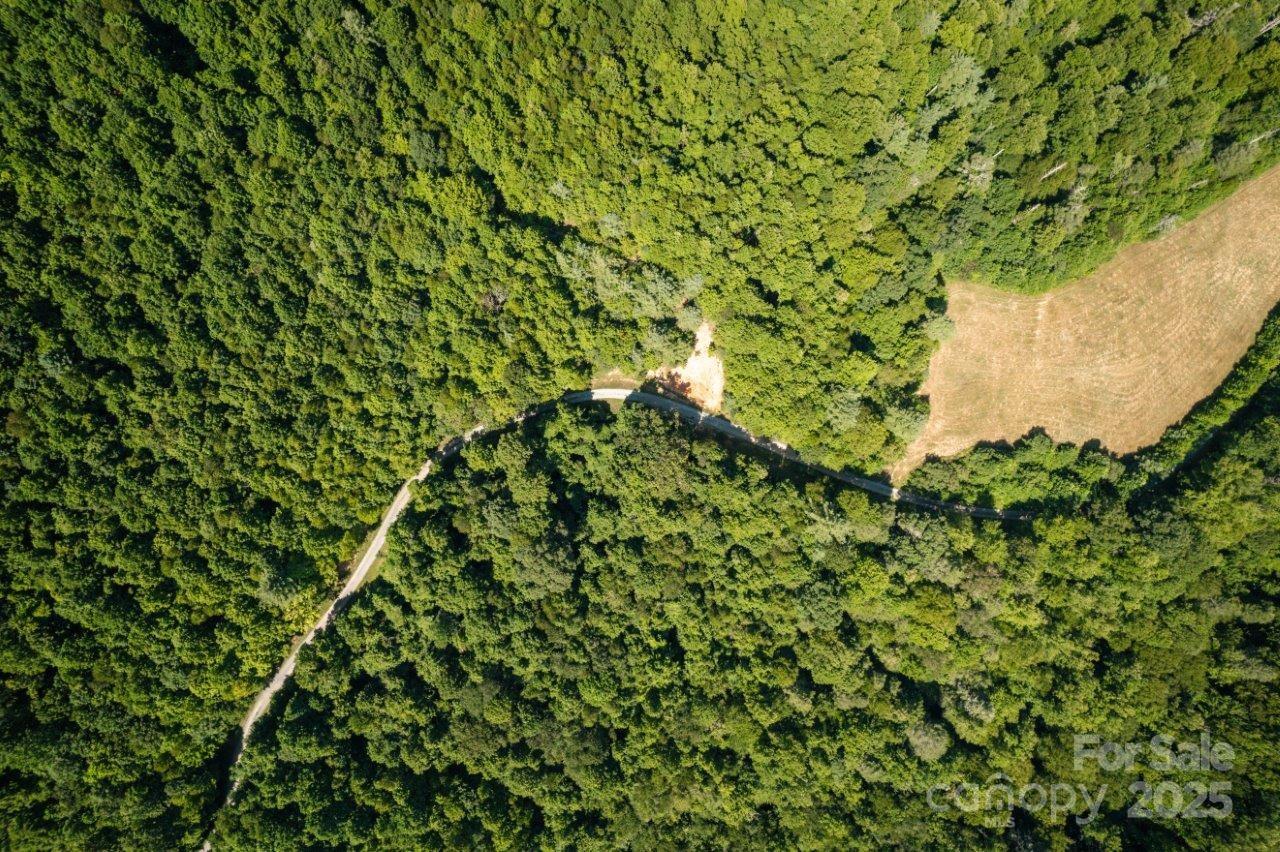 Tbd Flat Springs Road Elk Park NC 28622